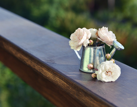 Small beautiful roses in watering pot on wooden planks in the garden. Summer seasonal background, rural countryside still life, vintage or retro concept, evening lightの写真素材