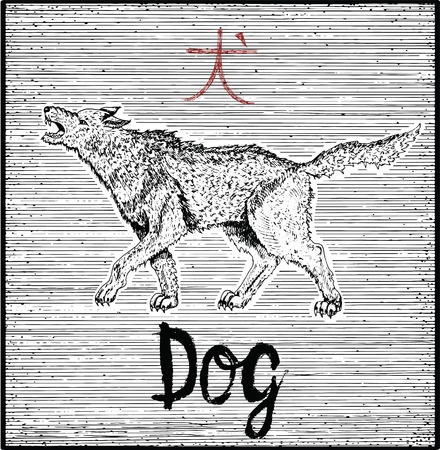 Engraved illustration of zodiac symbol with Dog and lettering. Horoscope and astrological sign of asian new year calendar. Graphic line art with animal. Chinese hieroglyph means Dogのイラスト素材