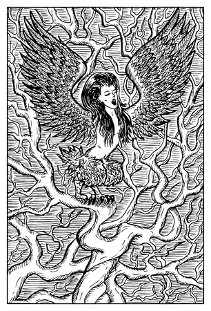 Harpy. Woman with bird wings on tree branch. Fantasy magic creatures collection. Hand drawn vector illustration. Engraved line art drawing, graphic mythical doodle. Template for card game, posterのイラスト素材