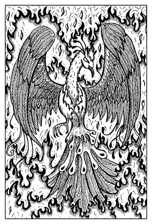 Phoenix in flame. Bird in fire. Fantasy magic creatures collection. Hand drawn vector illustration. Engraved line art drawing, graphic mythical doodle. Template for card game, posterのイラスト素材