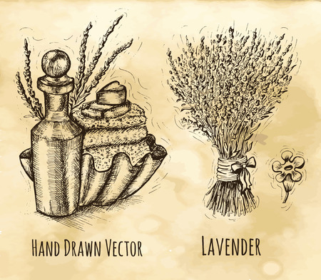 Herbal cosmetic still life with bunch of lavender flowers, bottle and soap. Hand drawn engraved illustration. Vintage drawing in sketch style. Aromatic perfumery plantのイラスト素材