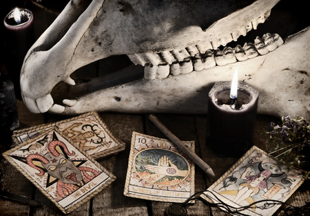 Scary skull with the Tarot cards, herbs, pencil and black candles. Mystic still life with scary occult objects, horror Halloween and black magick concept, fortune telling or divination riteの写真素材