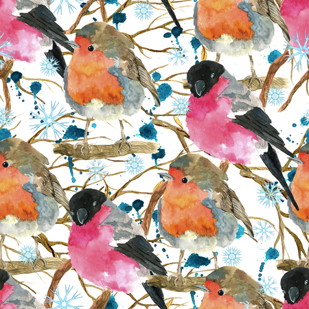 Seamless pattern with funny winter birds, bullfinch and snowbird on tree branches. Natural hand painted watercolor illustration with animalsの写真素材