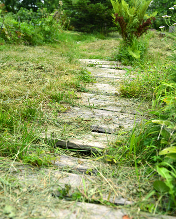 Old foot path made of wooden planks with grass in the garden. Spring and summer nature vintage...