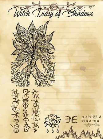 Witch diary page 8 of 31 with mandrake plant and evil symbols. Magic wiccan old book with occult illustration, mystic vector backgroundのイラスト素材