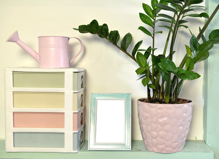 Home plant in cute pot, picture frame with empty blank, box and watering can. Loft life style home decoration on vintage shelf, mockup backgroundの写真素材