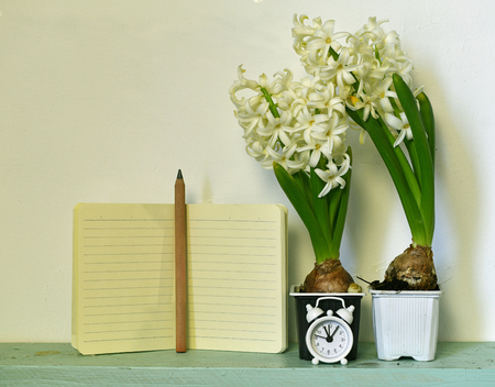 Blank note with alarm clock and hyacinth against the wall.  Vintage nature background with blooming flowers indoorsの写真素材