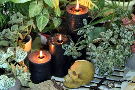 Three black candles with skull and witch herbs. Esoteric, wicca and occult background, fortune telling and divination ritual, mystic concept の写真素材