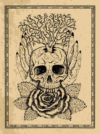 Wiccan emblem with skull, human hands, rose flower and tree in frame. Esoteric, occult and gothic vector illustration with symbols of death, Halloween mystic background, engraved outline drawing, tattoo vintage print.のイラスト素材