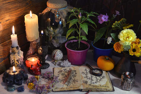 Mysterious still life with open diary book with botanical drawing, pepper plant in pot and candles...