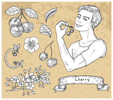 Design set with handsome man holding cherry and berry over textured background. Hand drawn engraved vector illustration, botanical collection, healthy eating, vegan and vegetarian concept.のイラスト素材