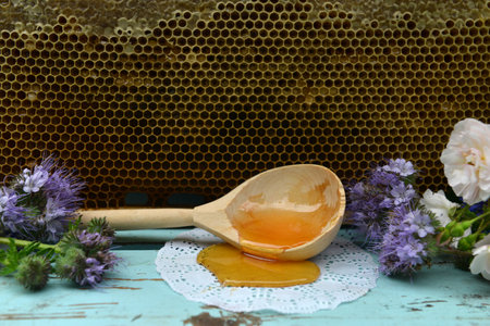 Still life with frame of natural honey comb, dipper and flowers against wooden background outside. Countryside summer rural background, vintage concept, healthy foodの写真素材