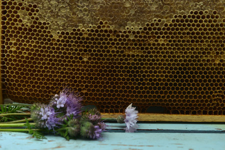 Still life with frame of natural honey comb and flowers against wooden background outside....
