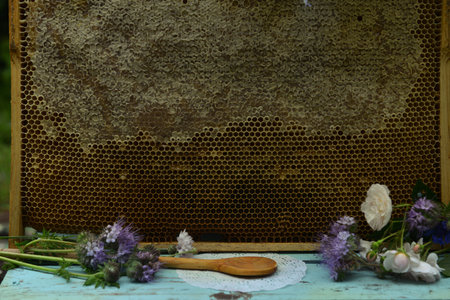 Still life with natural honey comb and flowers on wooden background outside. Countryside summer rural background, vintage concept, healthy foodの写真素材