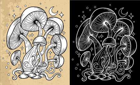 Celestial mystic mushrooms with magic and floral decorative design elements, moon, witchcraft symbols. Esoteric and witchy objects, tattoo concept, hand drawn clipartのイラスト素材
