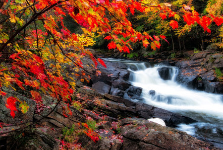 Autumn landscape with colorful leaves and waterfalls in the forest.の写真素材
