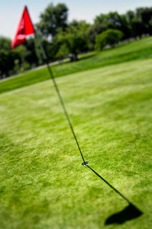 Shot of a golf hole with a flagの写真素材