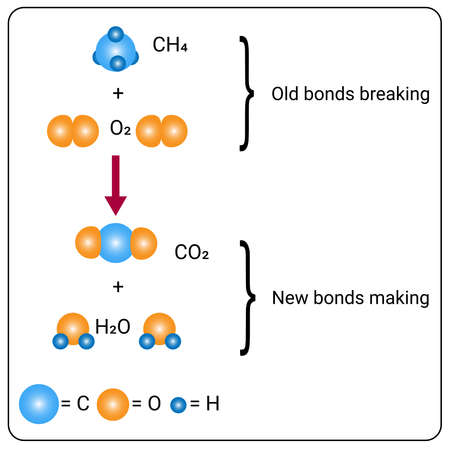 Chemical reactions occur and the elements contained in a chemical substanceのイラスト素材