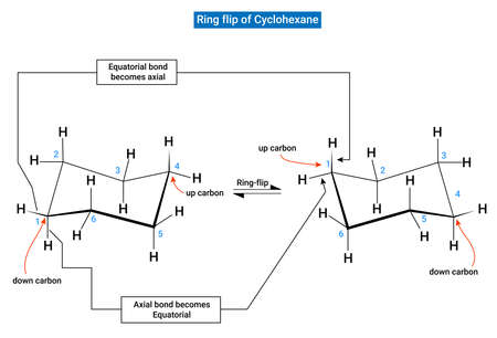 Chemical Structure for Ring flip of Cyclohexaneのイラスト素材