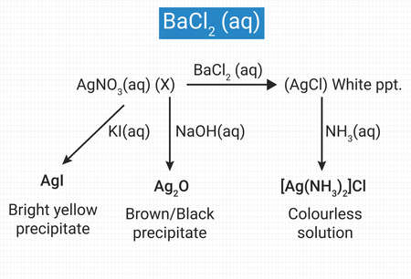 Chemical Reactivity of BaCl2 (Barium chloride)のイラスト素材