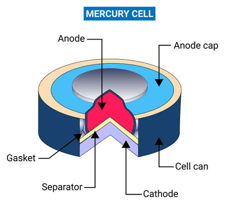 The Mercury cell is a type of dry cell consisting of zinc anode, mercuric oxide cathode and potassium hydroxide as an electrolyte.