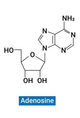 Adenosine is a purine nucleoside base, most commonly recognized with the molecule adenosine triphosphateのイラスト素材