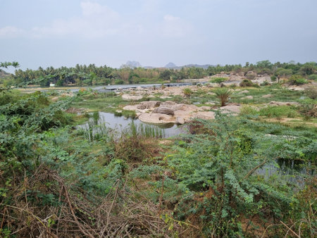 A river with rocks and treesの写真素材