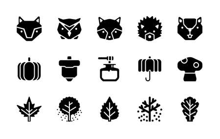 15 icon collection suitable for autumn season in glyph styleのイラスト素材
