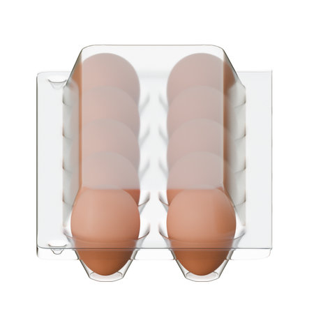 Egg Plastic Packaging Top Side View 3D Render Illustration