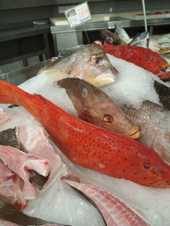 Edible Seawater Fish