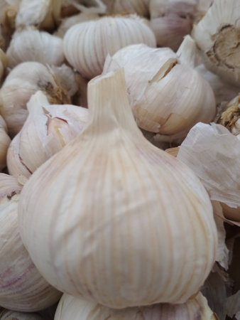garlic