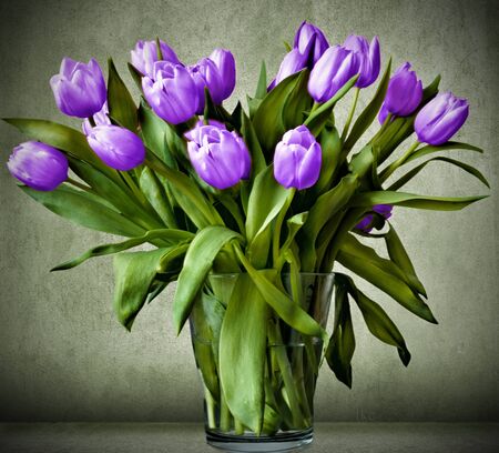 Bunch of tulipsの写真素材