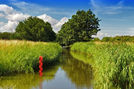 Creek between meadowsの写真素材