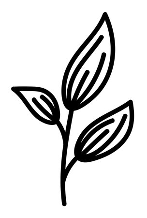 Doodle cute branch with leaves decorative element. Botanical vector illustration design, isolated hand drawn black flat element.のイラスト素材