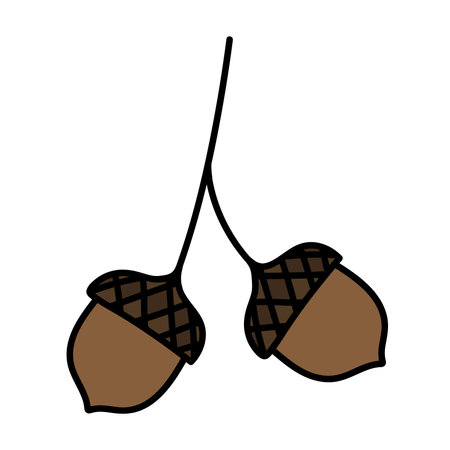 isolated doodle acorn. hand drawn vector illustration of autumn acorn clip artのイラスト素材