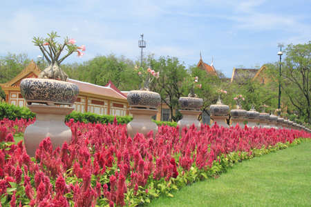 Garden  thailandの写真素材
