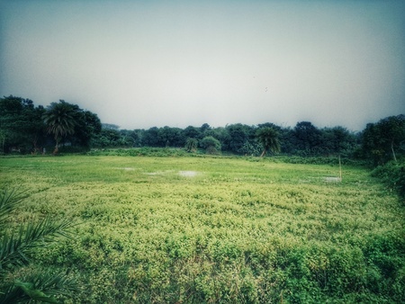 A Green Landscape of West Bengalの写真素材