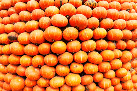 Pumpkinsの写真素材