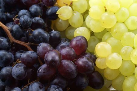 grapesの写真素材