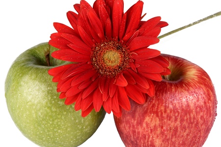 Two apples and flower, are photographed on a white backgroundの写真素材