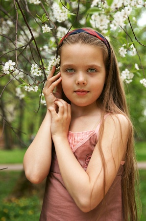 The little girl in a cherry gardenの写真素材