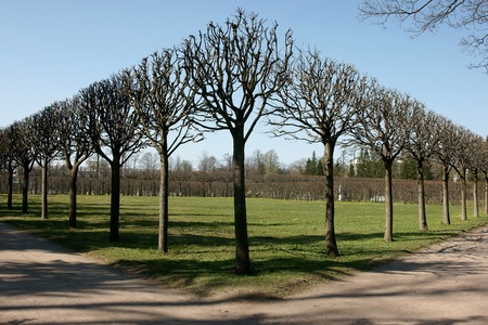 Geometry in park