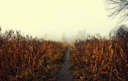 Autumn landscape in red tonesの写真素材