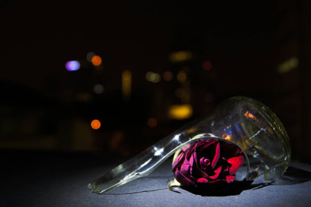 Red Rose Broken Glass Night Bokehの写真素材