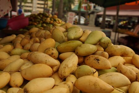 Mango Stallの写真素材