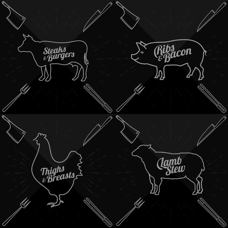 Vector illustration of beef, pork, lamb and chicken and cooking tools.のイラスト素材