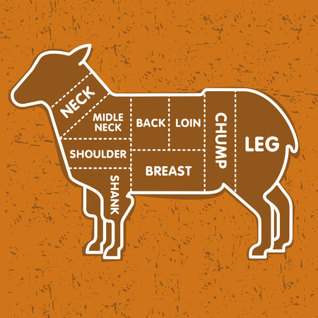 Vector illustration of beef, pork, lamb and chicken, vegetables image, bread, drinks and cooking tools.のイラスト素材