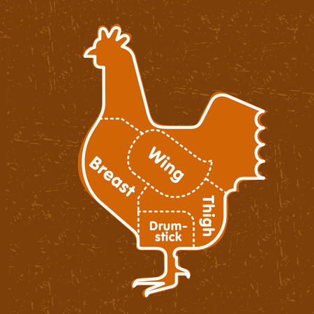 Vector illustration of beef, pork, lamb and chicken, vegetables image, bread, drinks and cooking tools.のイラスト素材