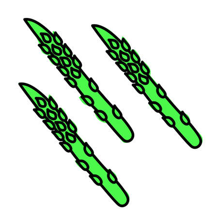 asparagusのイラスト素材
