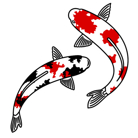 Vector image of japanese carp koiのイラスト素材
